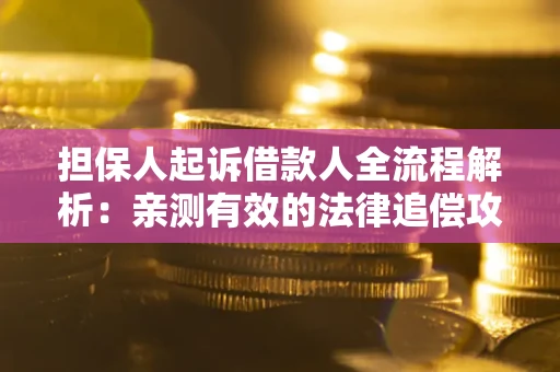 武汉担保人起诉借款人全流程解析：亲测有效的法律追偿攻略