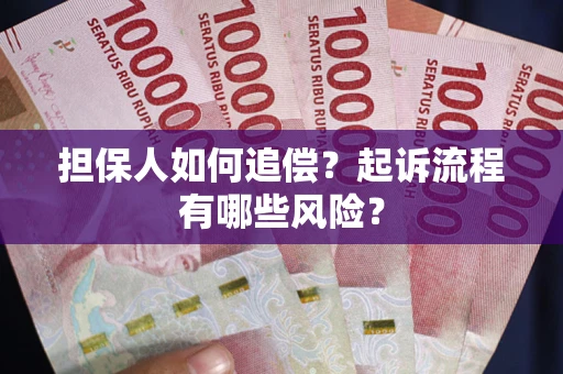 武汉担保人如何追偿？起诉流程有哪些风险？