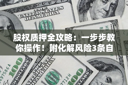 武汉股权质押全攻略：一步步教你操作！附化解风险3条自救法则