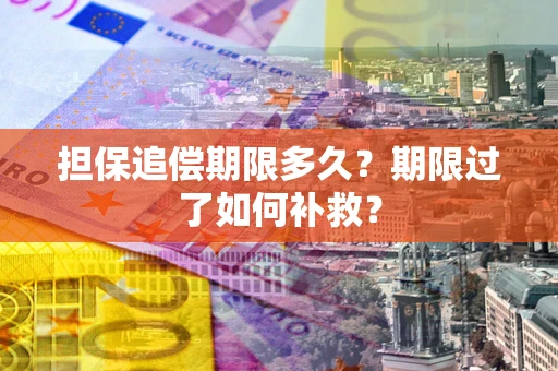 武汉担保追偿期限多久？期限过了如何补救？