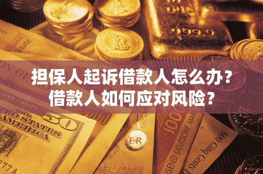 武汉担保人起诉借款人怎么办？借款人如何应对风险？
