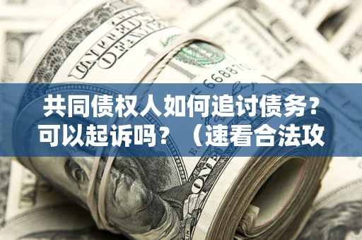 武汉共同债权人如何追讨债务？可以起诉吗？（速看合法攻略）