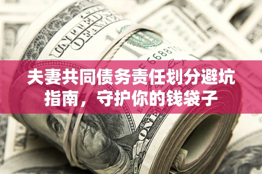 武汉夫妻共同债务责任划分避坑指南，守护你的钱袋子